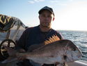 These fish were caught Sat 31-10-09 At Faulkner beacon area Angelo caught the 5470 grm fish at 710 am